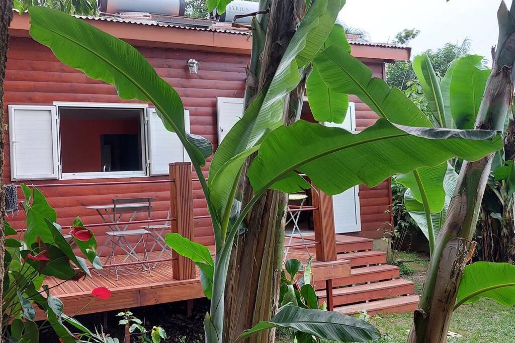 Chalet Les Azalees Le Tampon Zewnętrze zdjęcie